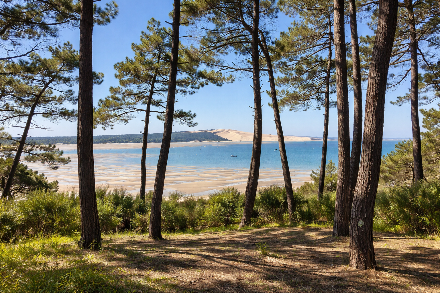 Your Homes Collection